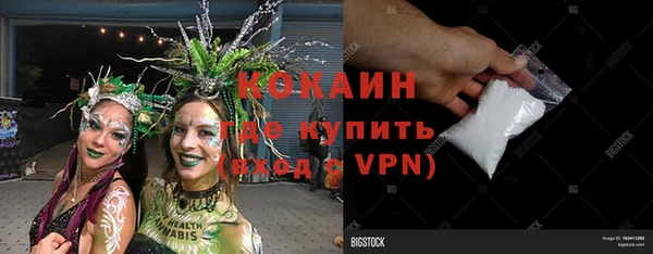 ГАЛЛЮЦИНОГЕННЫЕ ГРИБЫ Костерёво