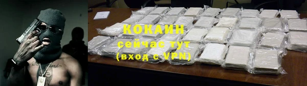 ГАЛЛЮЦИНОГЕННЫЕ ГРИБЫ Костерёво