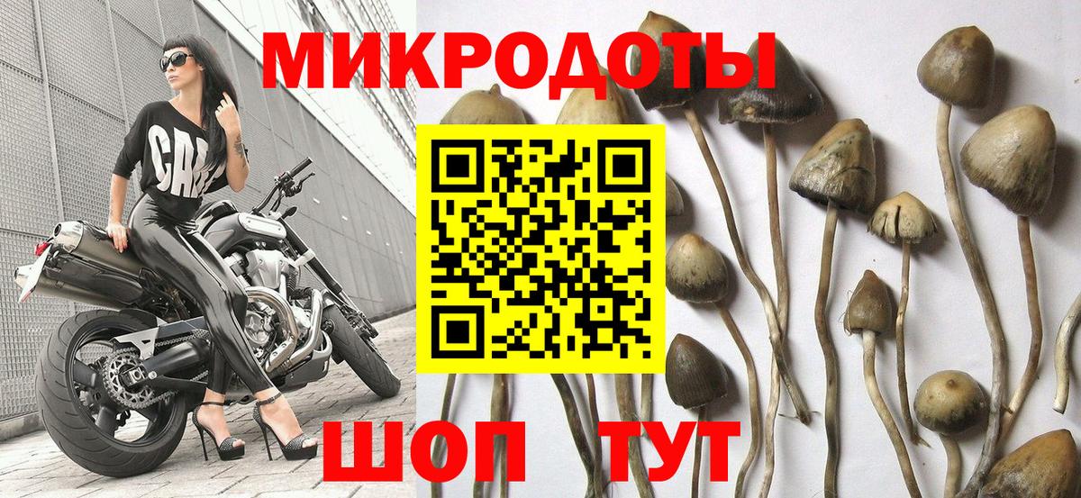 Галлюциногенные грибы мухоморы  Вход с VPN  Мелеуз 